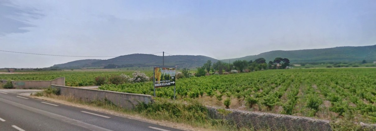Domaine de la Plaine, producteur de muscat de Frontignan