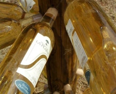 Arbre à bouteilles du Domaine de la Plaine, producteur de muscat de Frontignan